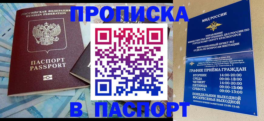 найти адрес прописки в Стародубе